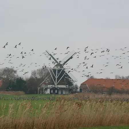 Landzeit * Эзенс